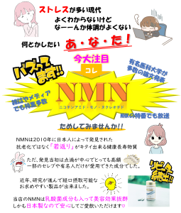MNM紹介チラシ